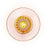 New Wave Optic Wall Lamp by Design By Us
