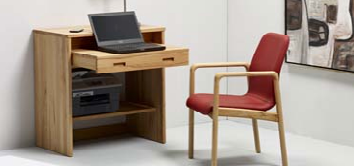 Laptop Desk 5942 by Dyrlund