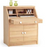 Secretaire 5252 by Dyrlund