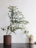 Sekki Pot by Ferm Living