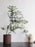 Sekki Pot by Ferm Living