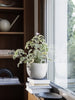 Speckle Pot by Ferm Living