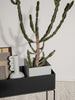 Muses Vase by Ferm Living