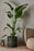 Pillar Plant Pot by Ferm Living
