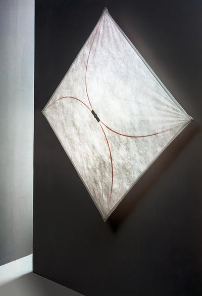 Flos Ariette ceiling and wall lamp in sleek, modern design, showcasing its minimalist structure and integrated lighting.