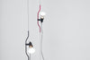 Parentesi Suspension Lamp by Flos