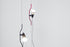 Parentesi Suspension Lamp by Flos