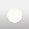 Clara Ceiling and Wall Lamp By Flos