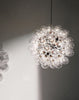 Taraxacum 88 Suspension Lamp by Flos