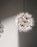 Taraxacum 88 Suspension Lamp by Flos