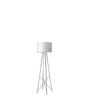 Ray Floor Lamp by Flos