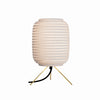 Scraplights Ausi Table Lamp by Graypants