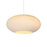 Scraplights Disc Pendant by Graypants