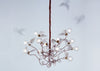 Bulbs for Birdie etc by Ingo Maurer