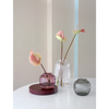 Primula Vase Collection by Holmegaard