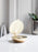 Shell Tealight Holder by Design House Stockholm
