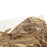 Coussin Papillon Muse par Jonathan Adler