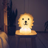 Lion First Light Nightlight by Mr. Maria