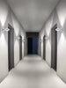 Nautilus Wall Lamp by LODES