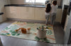 Tapis Plantes Botaniques par Lorena Canals