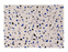 Terrazzo Rugs by Lorena Canals
