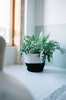 Panier Zoco par Lorena Canals