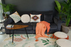 Coussin Palm par Lorena Canals