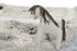 Tapis lavable Path of Nature par Lorena Canals