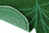 Monstera Leaf Rug by Lorena Canals