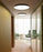 Compendium Plate Wall and Ceiling Lamp by Luceplan