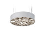 Spiro Suspension by LZF