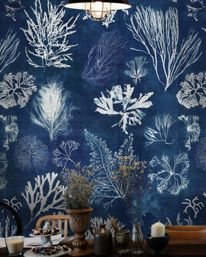 ALGAE Navy Blue Wallpaper by Mindthegap
