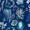 ALGAE Navy Blue Wallpaper by Mindthegap