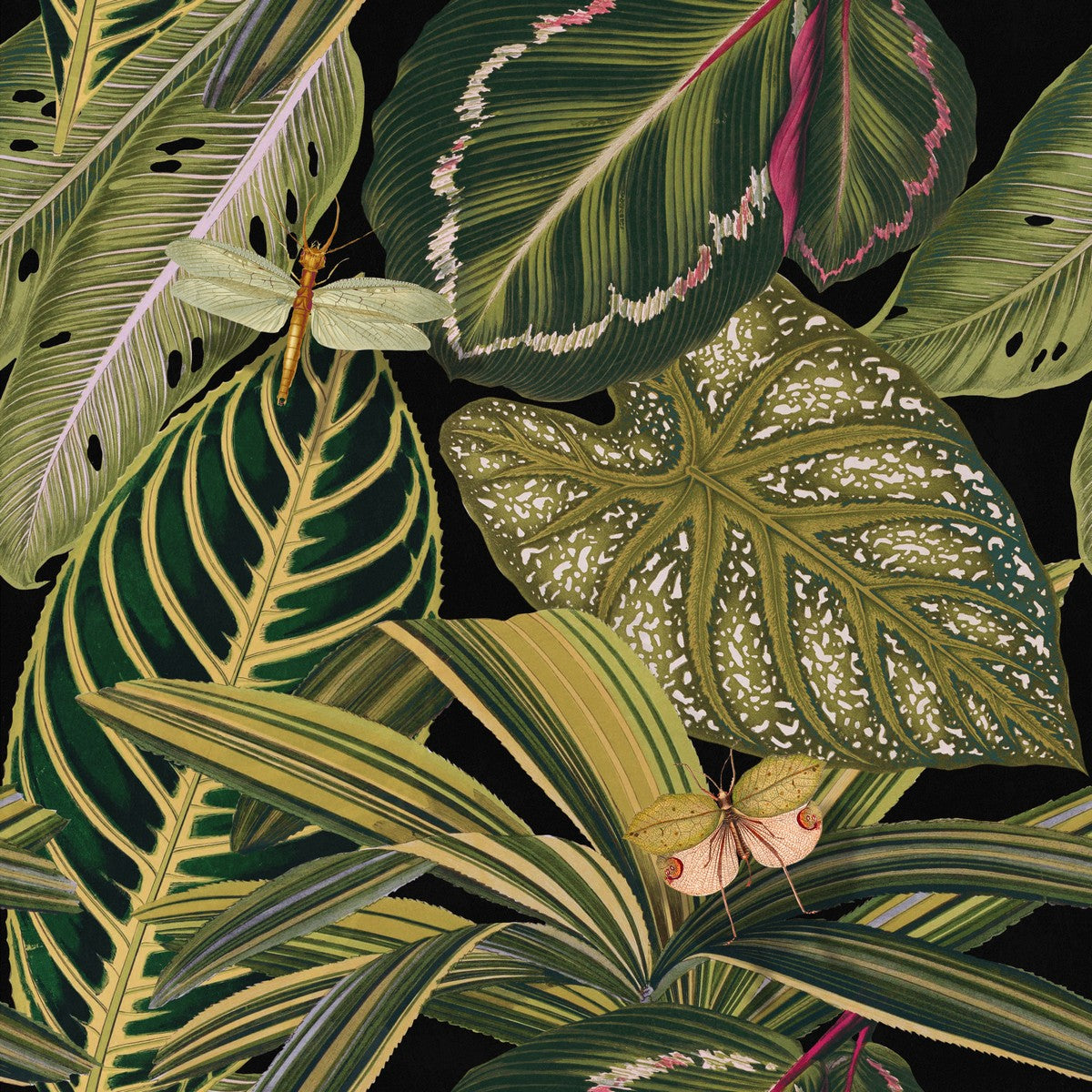 AMAZONIA Wallpaper by Mindthegap