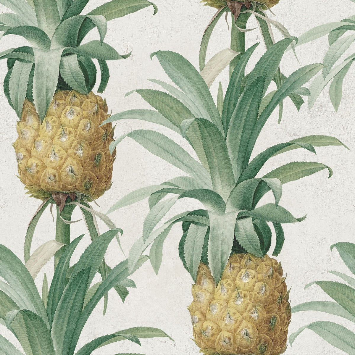ANANAS Wallpaper by Mindthegap