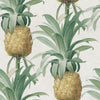 Papier peint ANANAS de Mindthegap