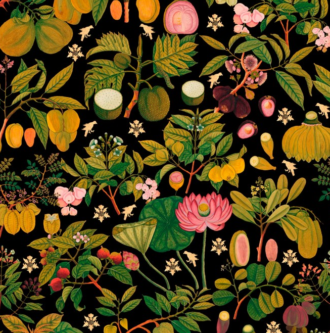 ASIAN FRUITS AND FLOWERS Anthracite Wallpaper by Mindthegap