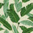 BANANA LEAVES Wallpaper by Mindthegap