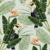 BIRDS OF PARADISE Wallpaper by Mindthegap