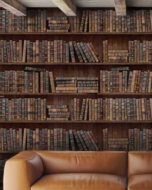 BOOK SHELVES Wallpaper by Mindthegap