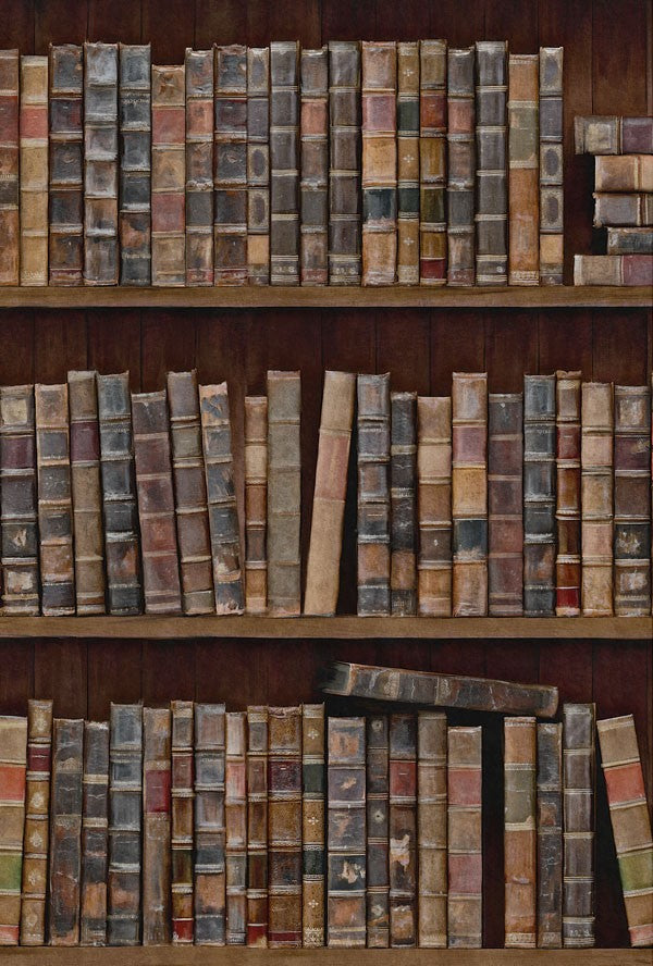 BOOK SHELVES Wallpaper by Mindthegap