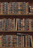 BOOK SHELVES Wallpaper by Mindthegap