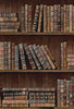BOOK SHELVES Wallpaper by Mindthegap