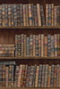 BOOK SHELVES Wallpaper by Mindthegap