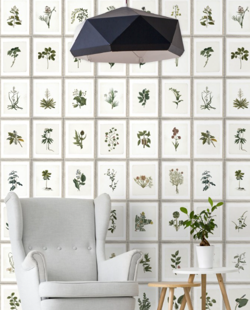 BOTANY Wallpaper by Mindthegap