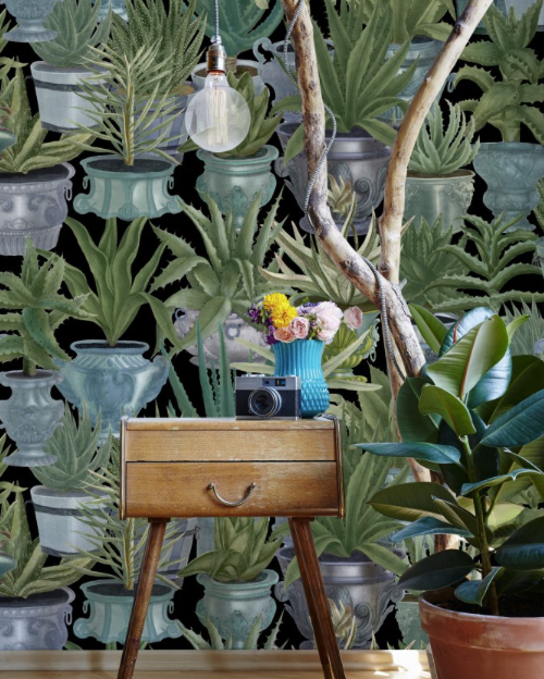 ECHEVERIA Wallpaper by Mindthegap