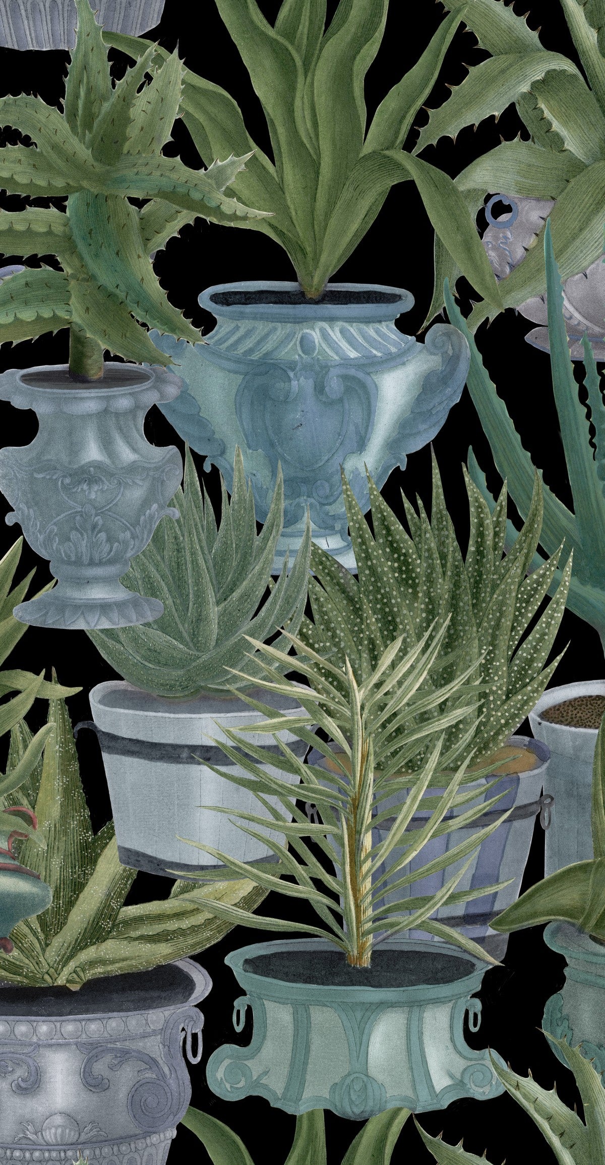 ECHEVERIA Wallpaper by Mindthegap