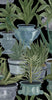 ECHEVERIA Wallpaper by Mindthegap