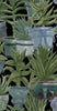 ECHEVERIA Wallpaper by Mindthegap