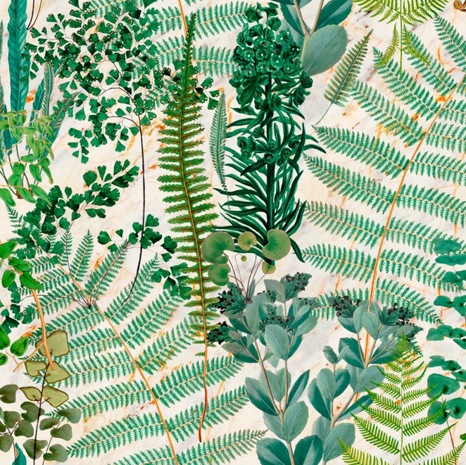GREEN SANCTUARY Wallpaper by Mindthegap